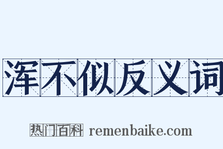 浑不似反义词是什么意思的图片